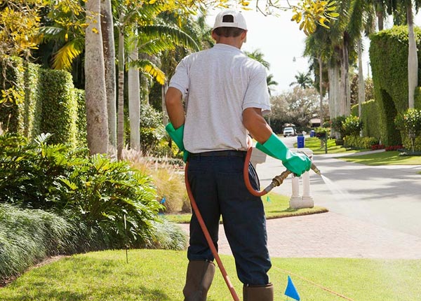 About Washingtonville PA Pest Control